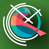 Bird Alarm Clock and Sleep Sound