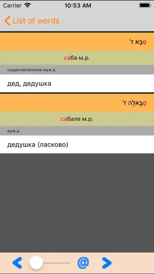 Скриншот ИРИС Иврит-Русский Словарь на iPhone 5