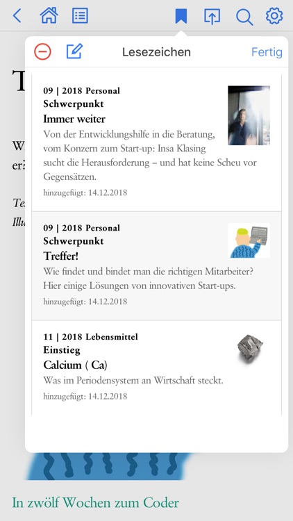 brand eins screenshot-3