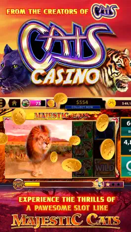 Game screenshot CATS Casino - Real Hit Slots! mod apk