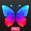 Everpix Pro - HD Wallpapers icon