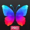 Everpix Pro - HD Wallpapers contact information