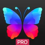 Everpix Pro - HD Wallpapers App Contact