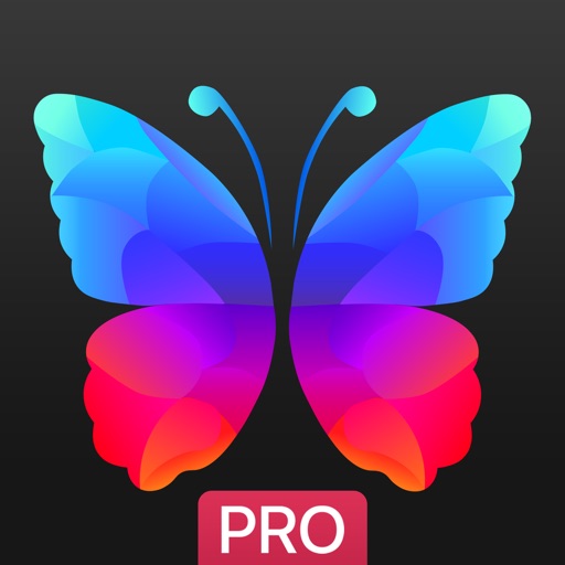 Everpix Pro - HD Wallpapers icon