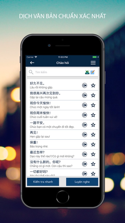 Từ Điển Trung Việt PRO - VDICT screenshot-3