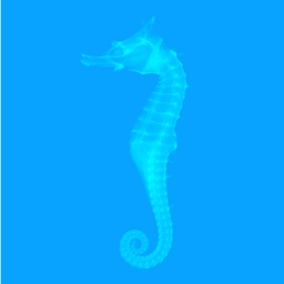 Atlas of Radiological Images