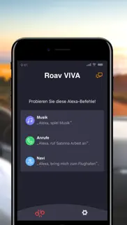 roav viva iphone bildschirmfoto 4