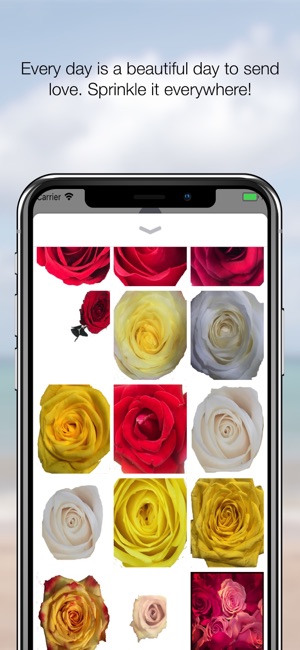 365 Days of Love Rose Stickers(圖3)-速報App