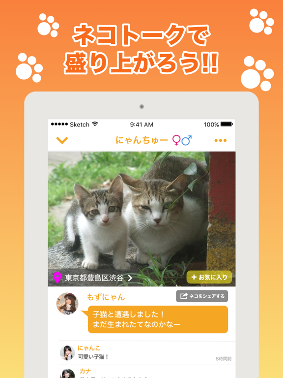 近所の ネコや ノラネコを共有するアプリ『ねこ さがし』のおすすめ画像2