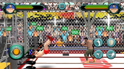 Wrestling Cage Revolution Game screenshot 4