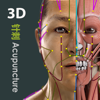Visual Acupuncture 3D - GraphicVizion