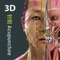 Visual Acupuncture 3D