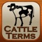 Has thousands of photos, notes and references all well organized and easy to find and share