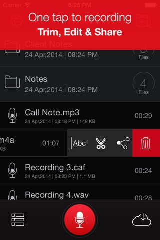 Recorder Plus : Voice Recorder screenshot 3