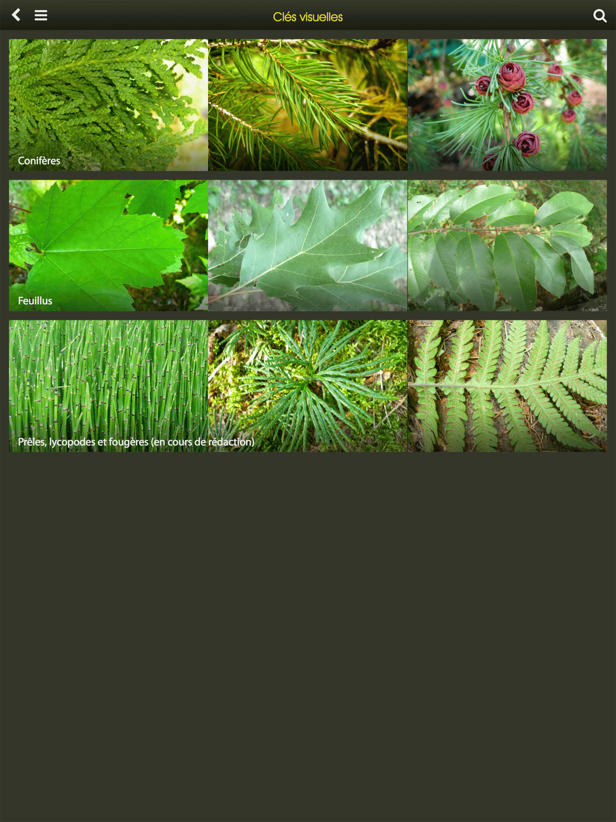 Arborescence screenshot 11