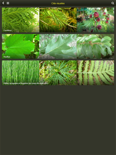 Arborescence screenshot 11