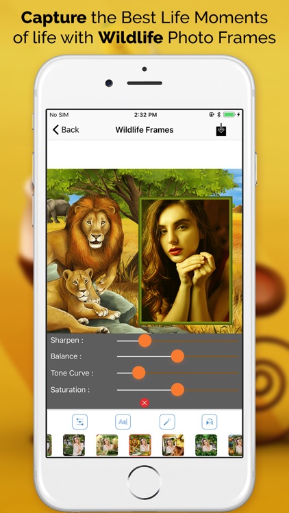 Wildlife Photo Frames HD