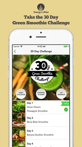 Game screenshot Green Smoothies by Young & Raw mod apk