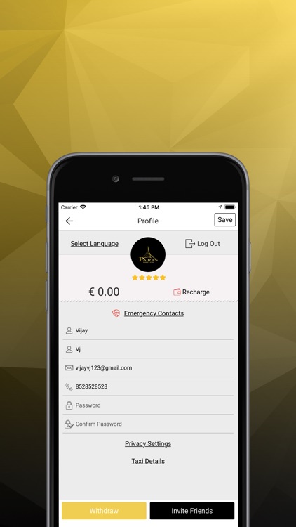 Paris Transport Driver