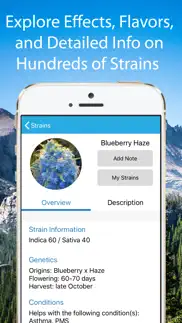 cannabis strain guide iphone screenshot 2