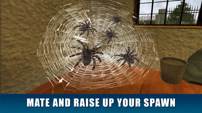 House Spider Survival Simulator 3D(圖4)-速報App