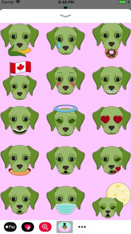 Saint Patrick's Day Labrador screenshot-3