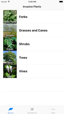 Game screenshot Invasives in Southern Forests mod apk