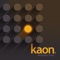 Kaon Platform