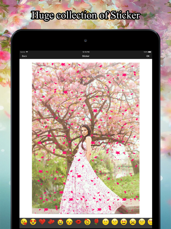 Screenshot #6 pour Flower Rain Effect Pic Editor