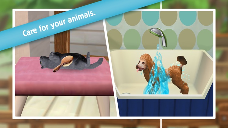 Pet Hotel - My animal pension