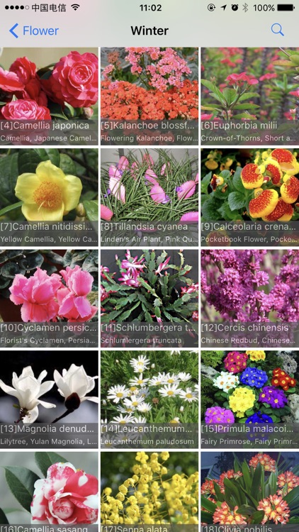 Flowering Plants screenshot-3