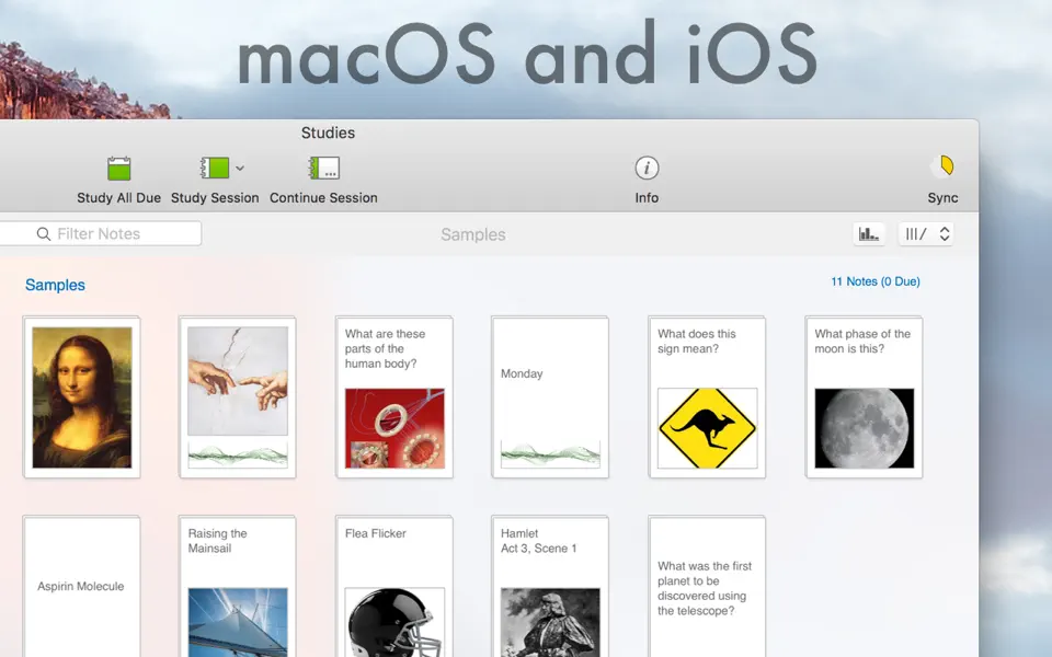 Screenshot 2 of Studies · Premium Flashcards 1.8.11