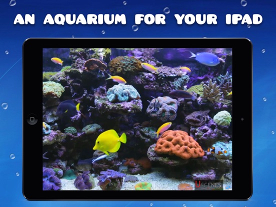 Aquarium HD : Tropical and Marine Fish Tank Scenes screenshot
