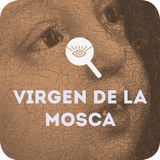 Cuadro de Virgen de la Mosca icon