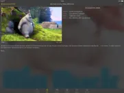 nplayer айпад изображения 2