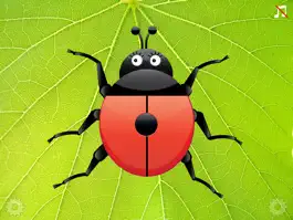 Game screenshot Ladybug Count apk