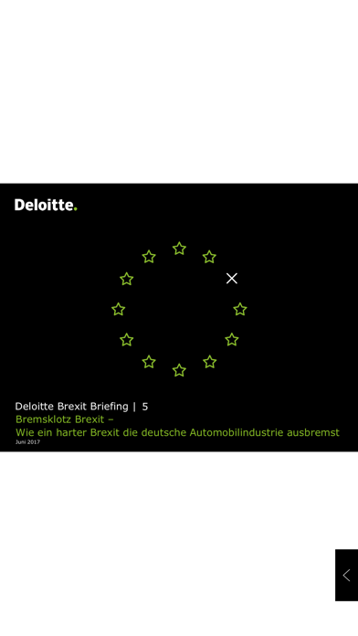 Deloitte Publikationen screenshot 4