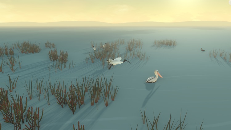 Storm Boy screenshot-0