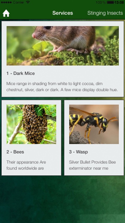 Silver bullet pest control