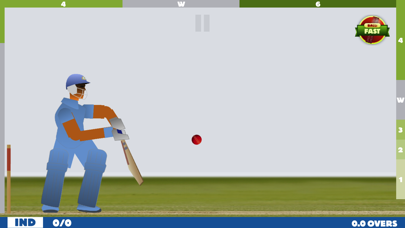 Touch Cricket Screenshot