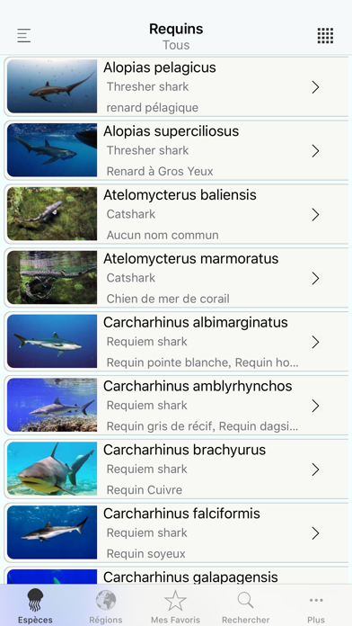 Screenshot #1 pour Sharks & Rays, by Reef Life