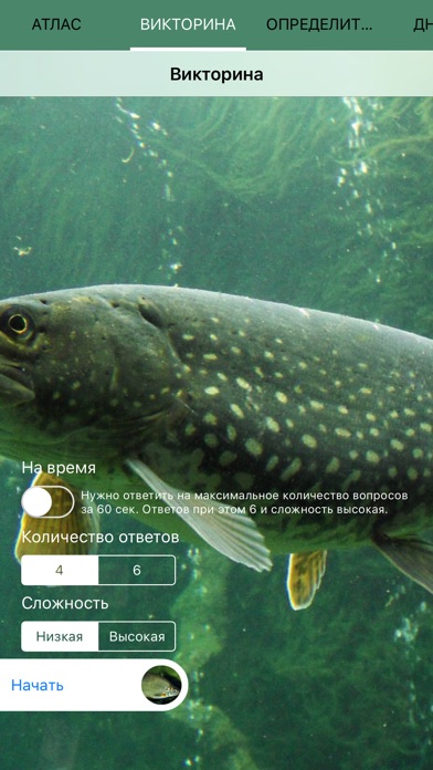 Экогид - Рыбы и Рыбалка screenshot 3