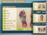Total Reflexology-3D ipad bilder 0
