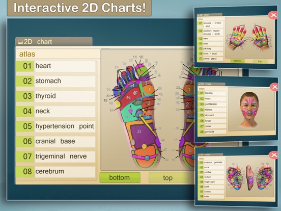 Total Reflexology-3D iPad app afbeelding 1