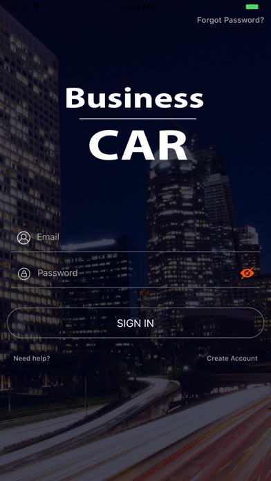 Business Car screenshot 2