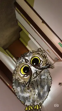 Game screenshot Rotate the Owl apk