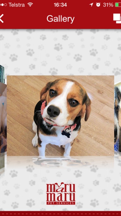 Maru Maru Pet Services screenshot-4