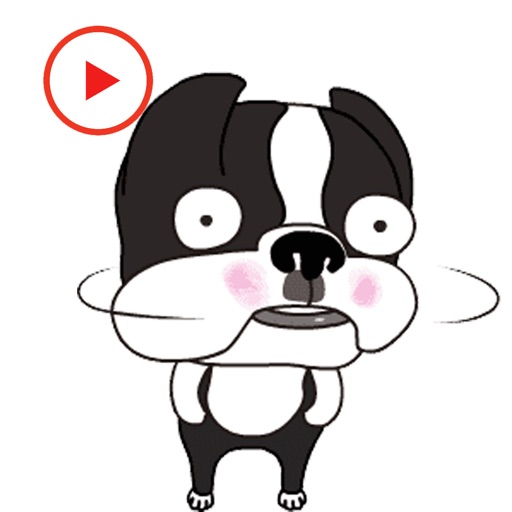 Boston Terrier Animated Sticker