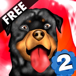 Dog Agility 2 : The dressage race contest - Free