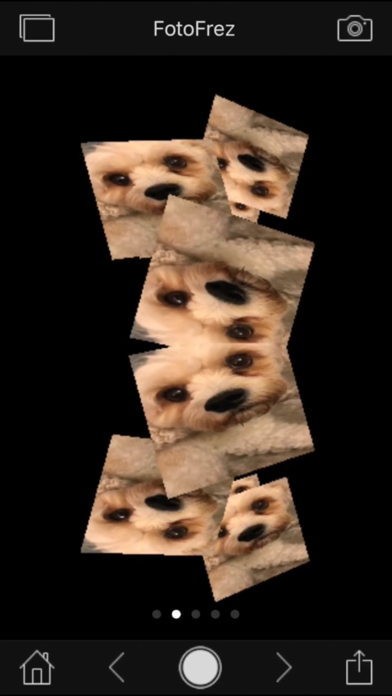 Sensory FotoFrez - Fun Fotos iPhone screenshot 10 - Photo & Video app